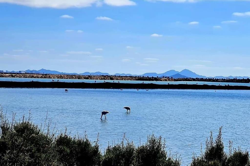 Agreable Appartement Avec Piscine Commune San Pedro del Pinatar Buitenkant foto